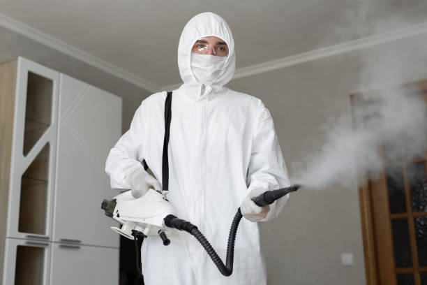 Professional Mold Removal Services in Angier, NC